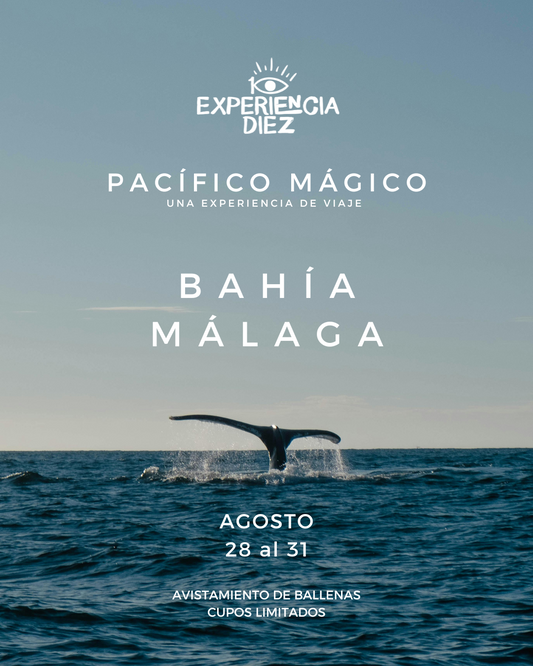 EXPERIENCIA AGOSTO