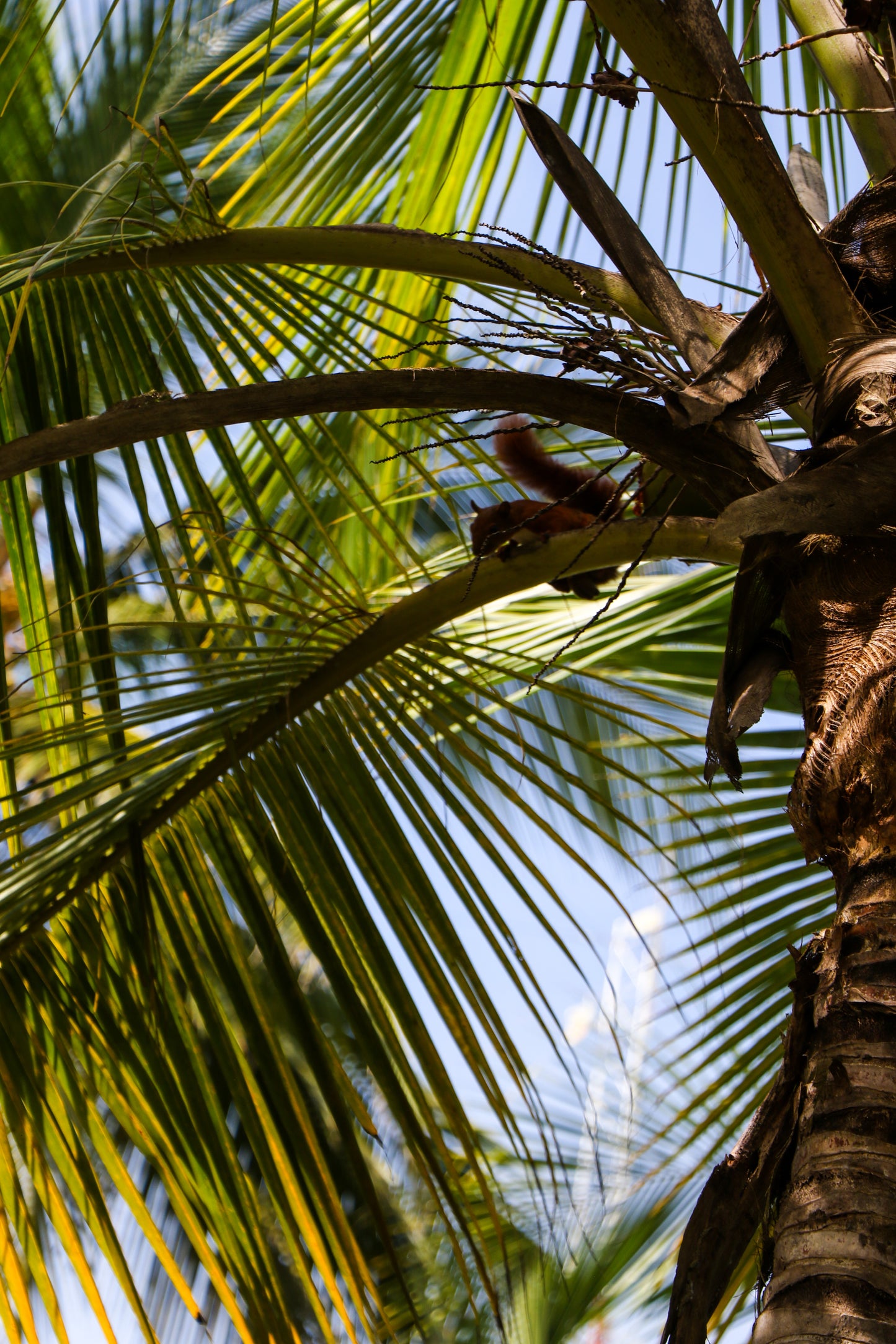 ¡Explora Santa Marta en una experiencia que lo tiene todo!