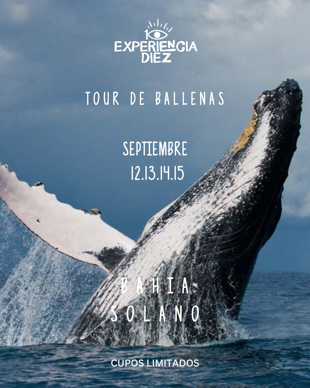 EXPERIENCIA SEPTIEMBRE