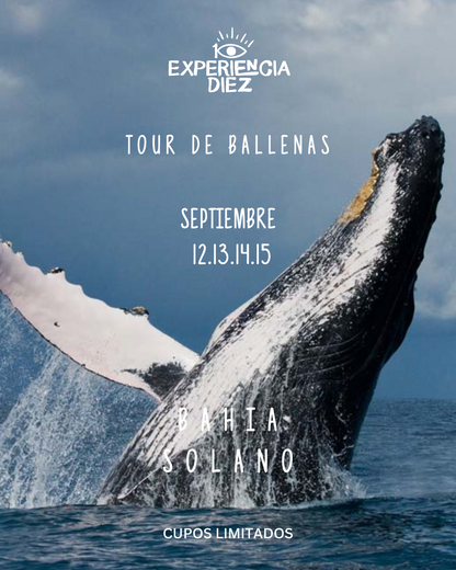 EXPERIENCIA SEPTIEMBRE